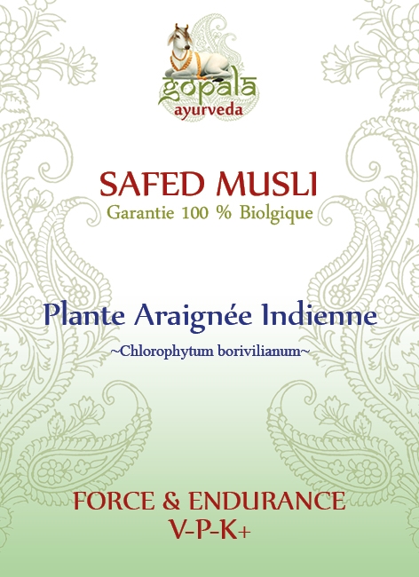 Safed Musli Bio 1500mg 120 Gélules - Complément énergie Endurance Santé Sexuelle